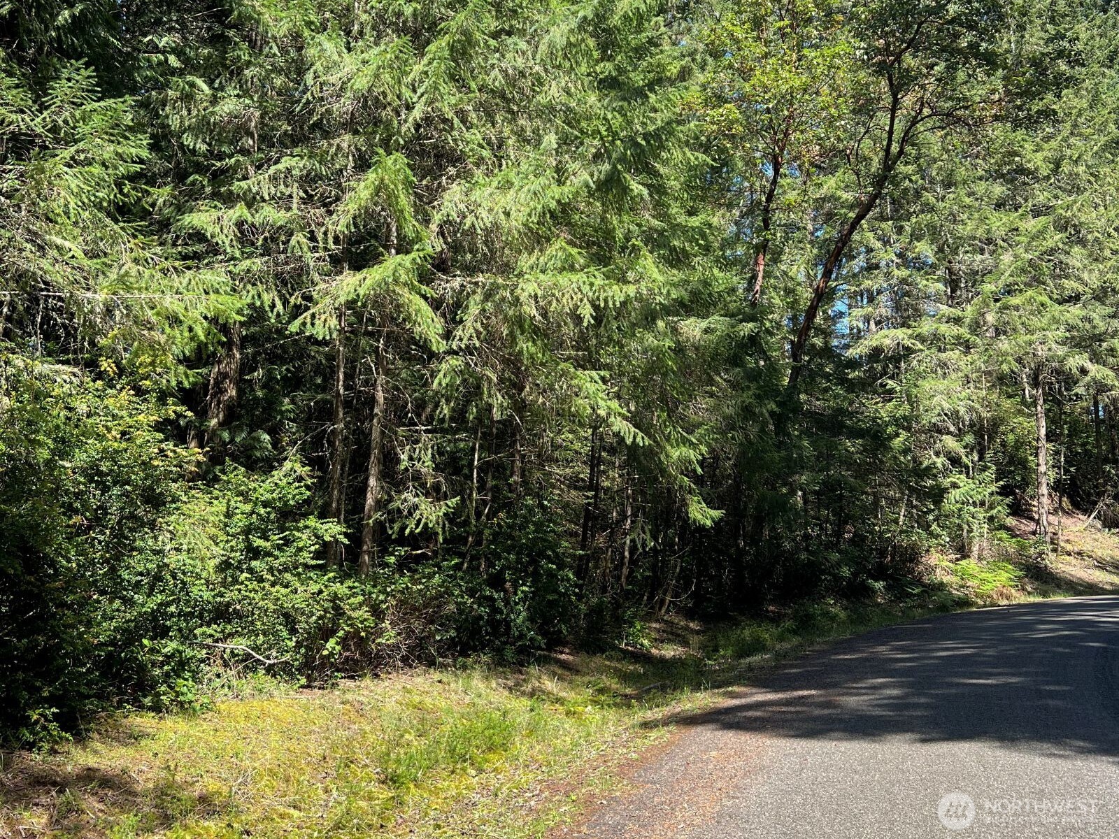 10919 Suncrest Drive Property Photo 1