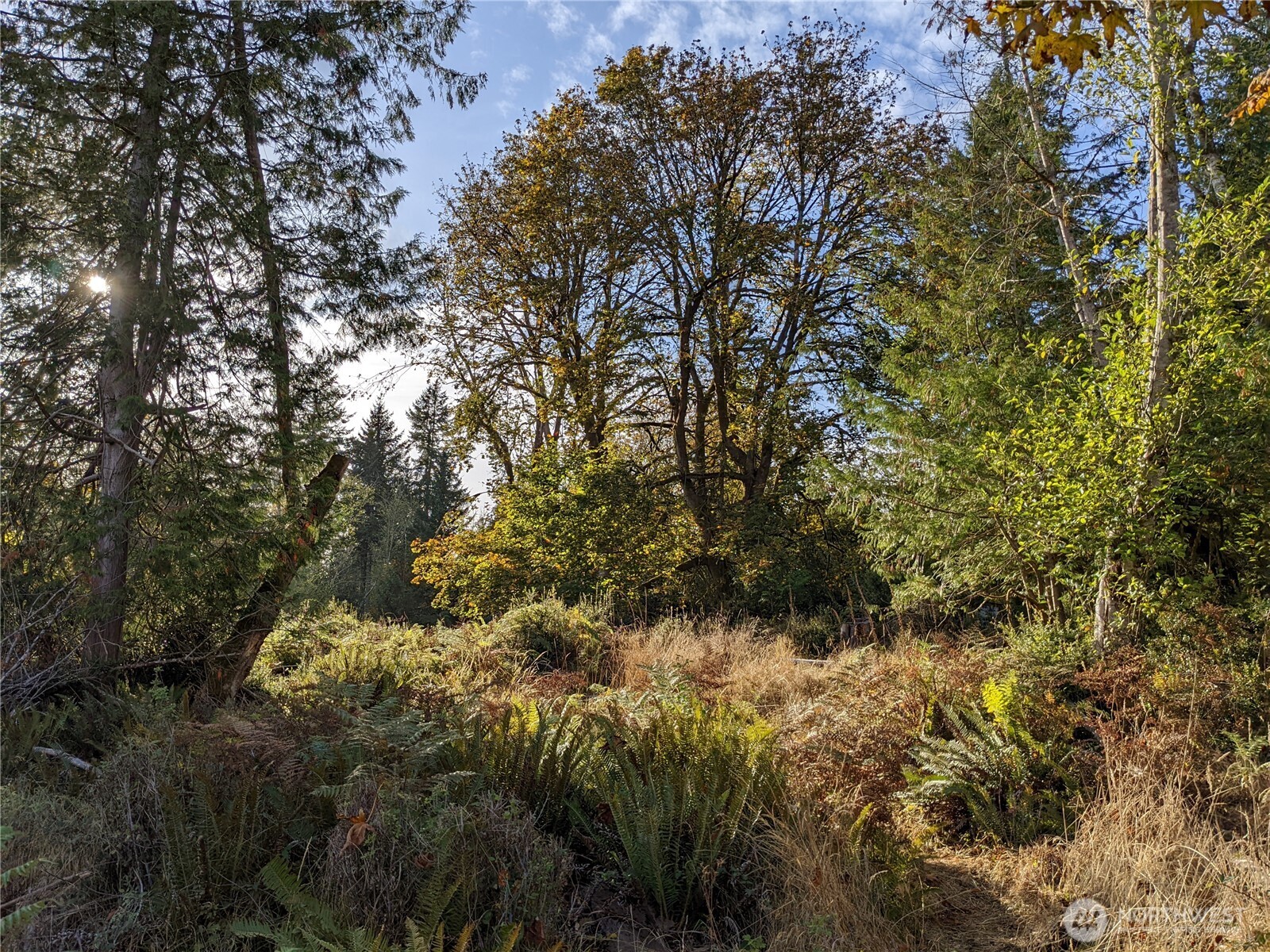 681 E Jared Road Property Photo 5