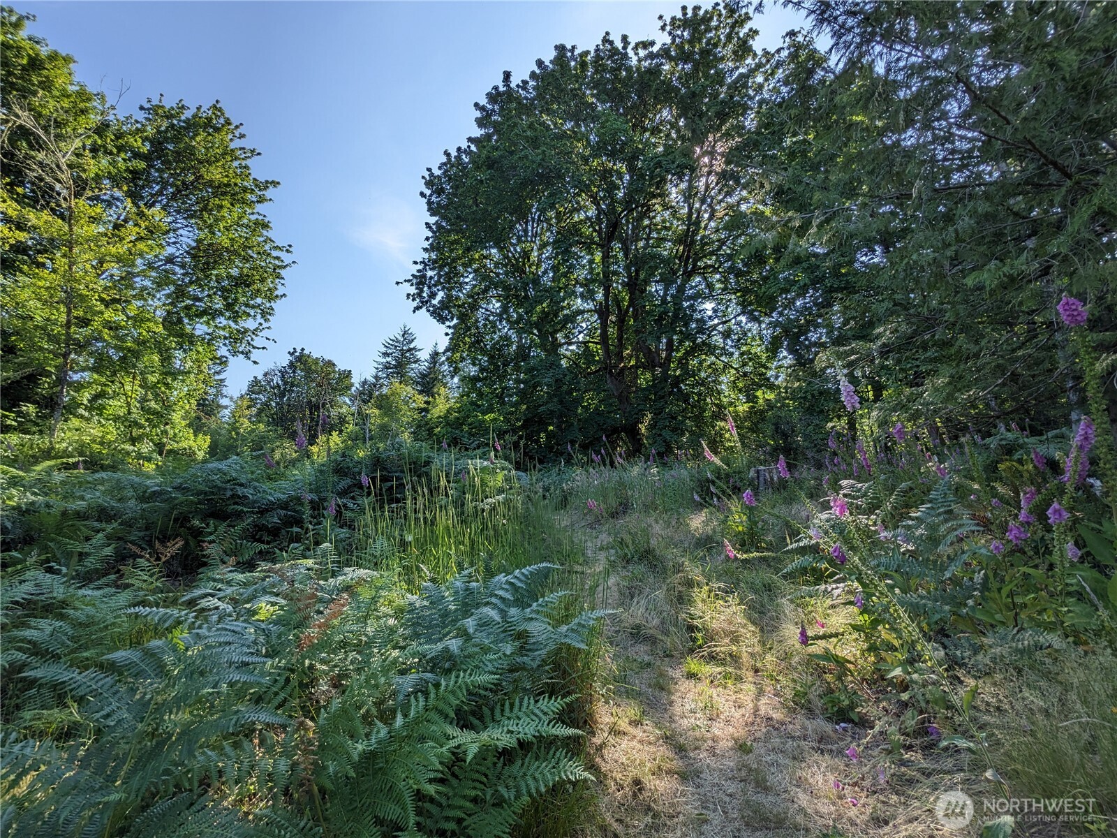 681 E Jared Road Property Photo 7