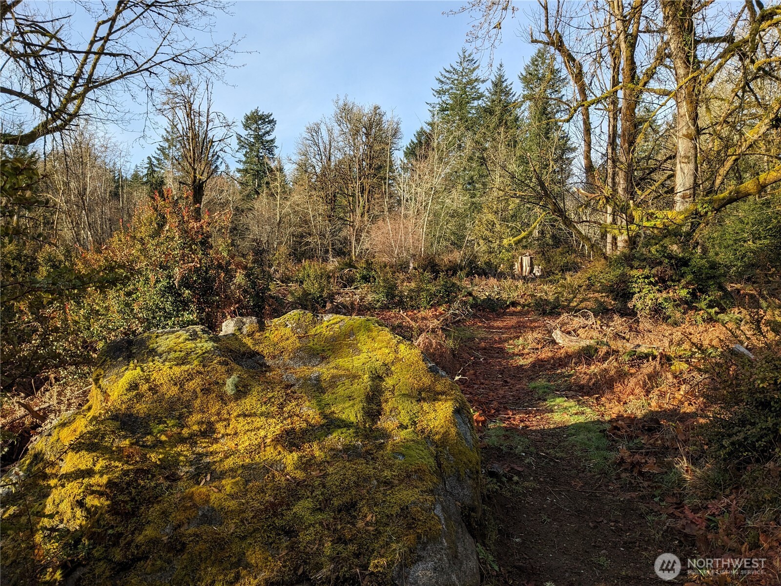 681 E Jared Road Property Photo 12