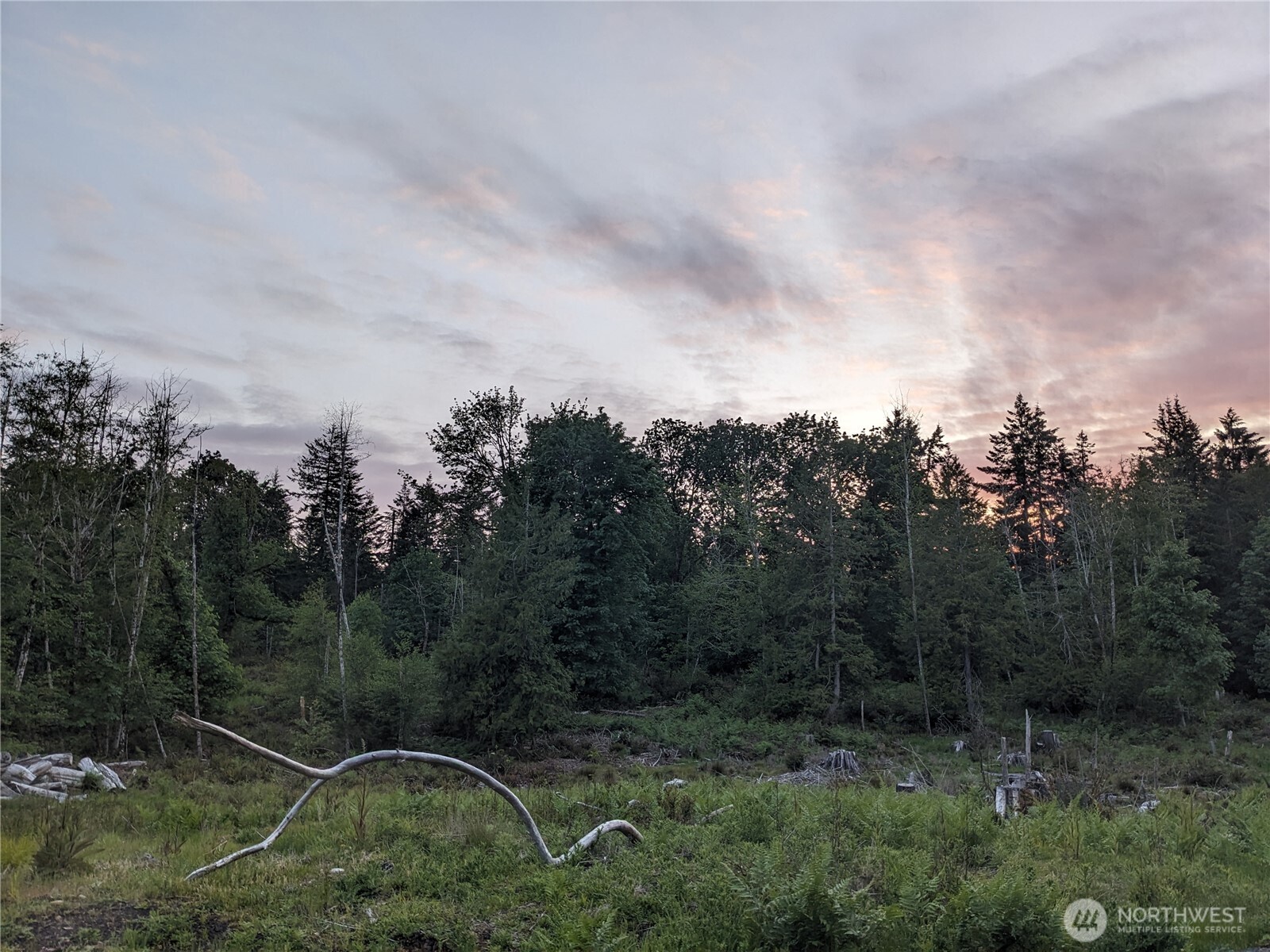 681 E Jared Road Property Photo 13
