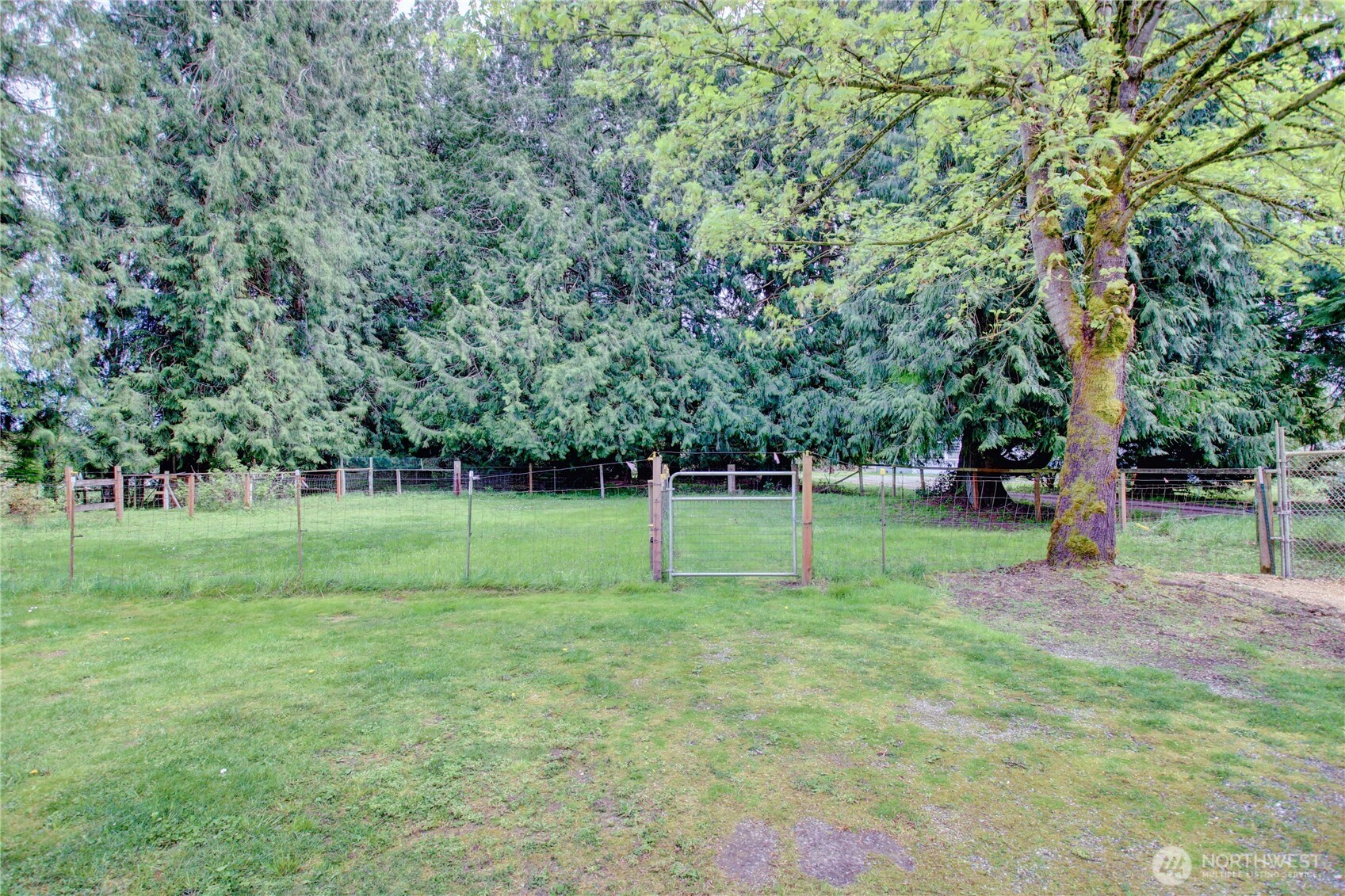 19023 23rd Avenue Property Photo 34
