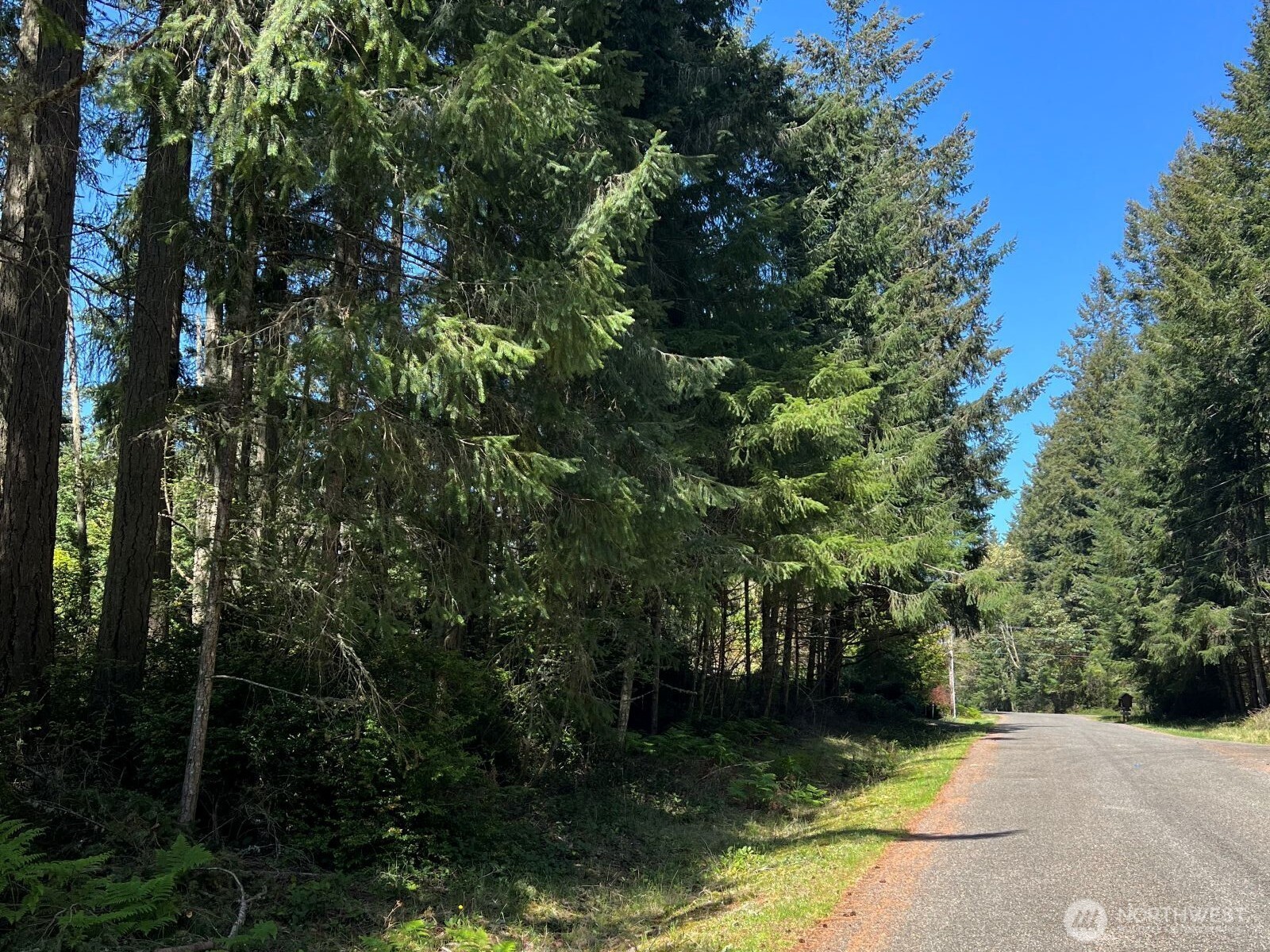 10312 Paine Road Property Photo 1