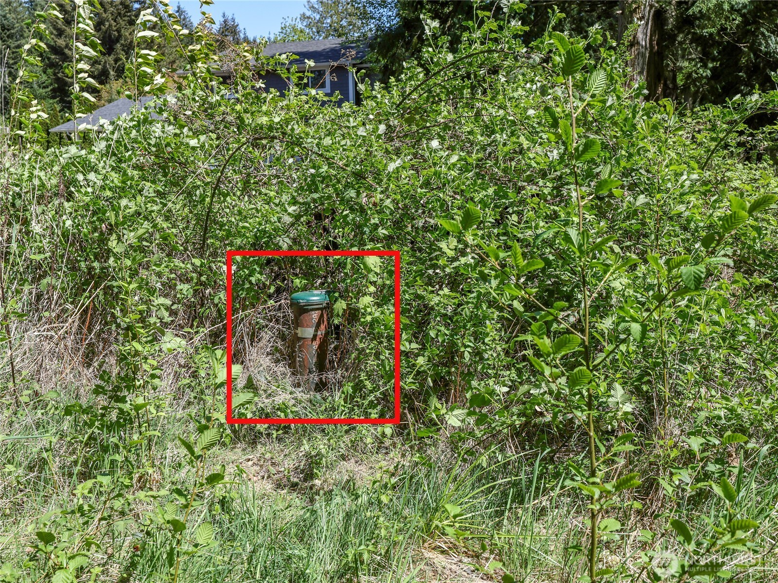 13821 30th Avenue Property Photo 5
