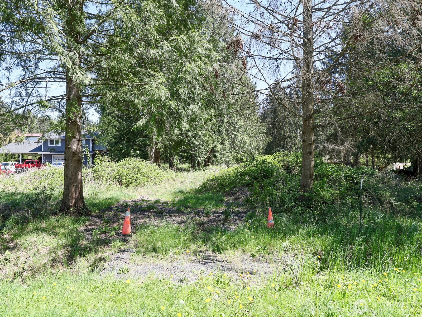 13821 30th Avenue Property Photo 11