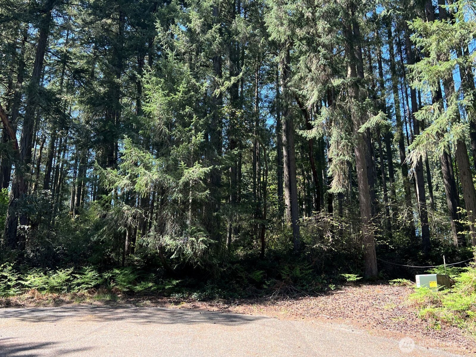 11410 103rd Street Property Photo 1