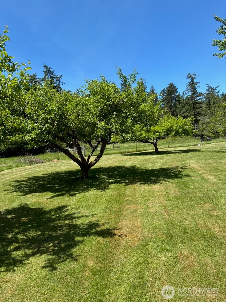 5178 Orcas Road Property Photo 28