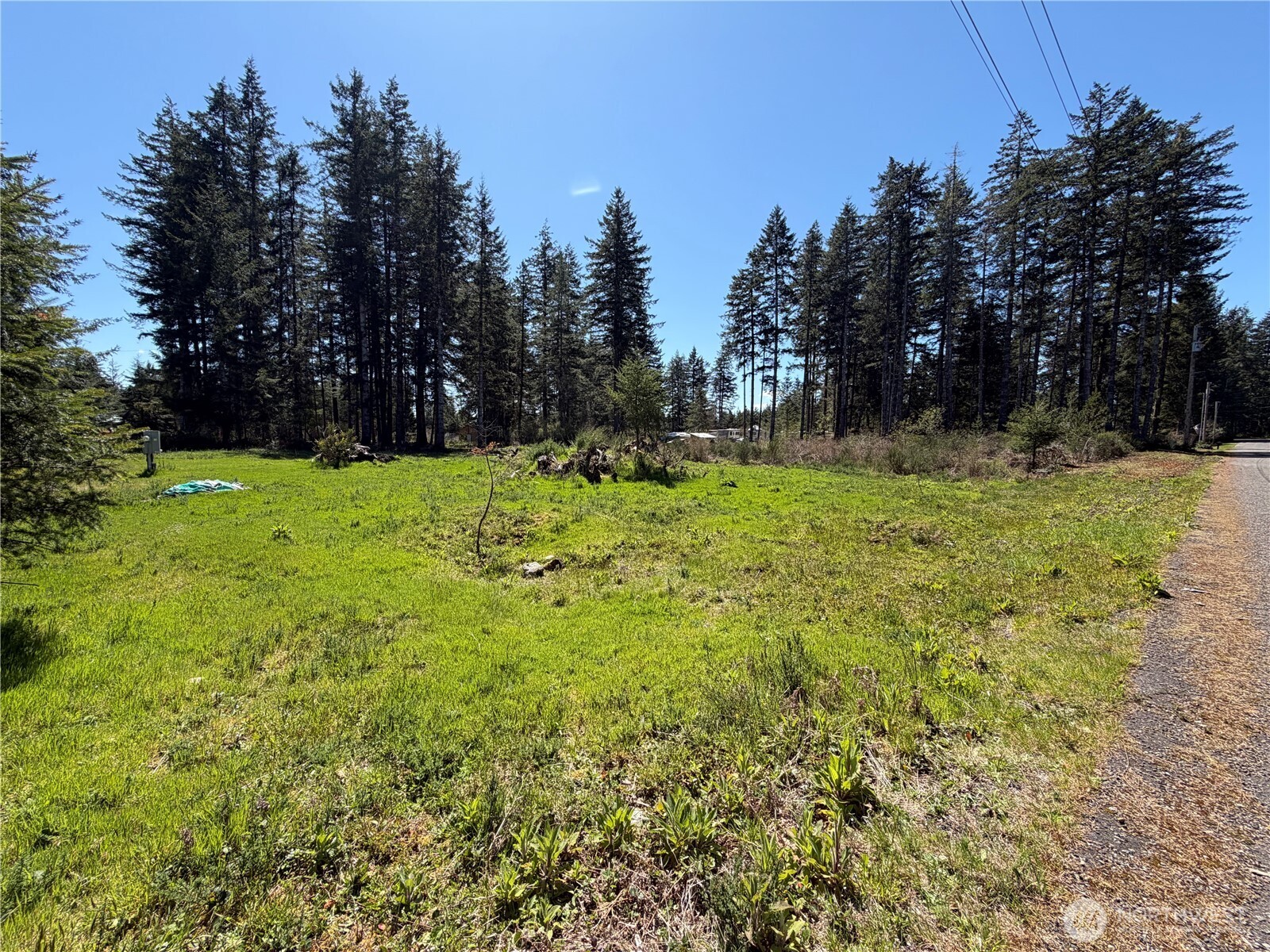 170 W Blackberry Lane Property Photo 19