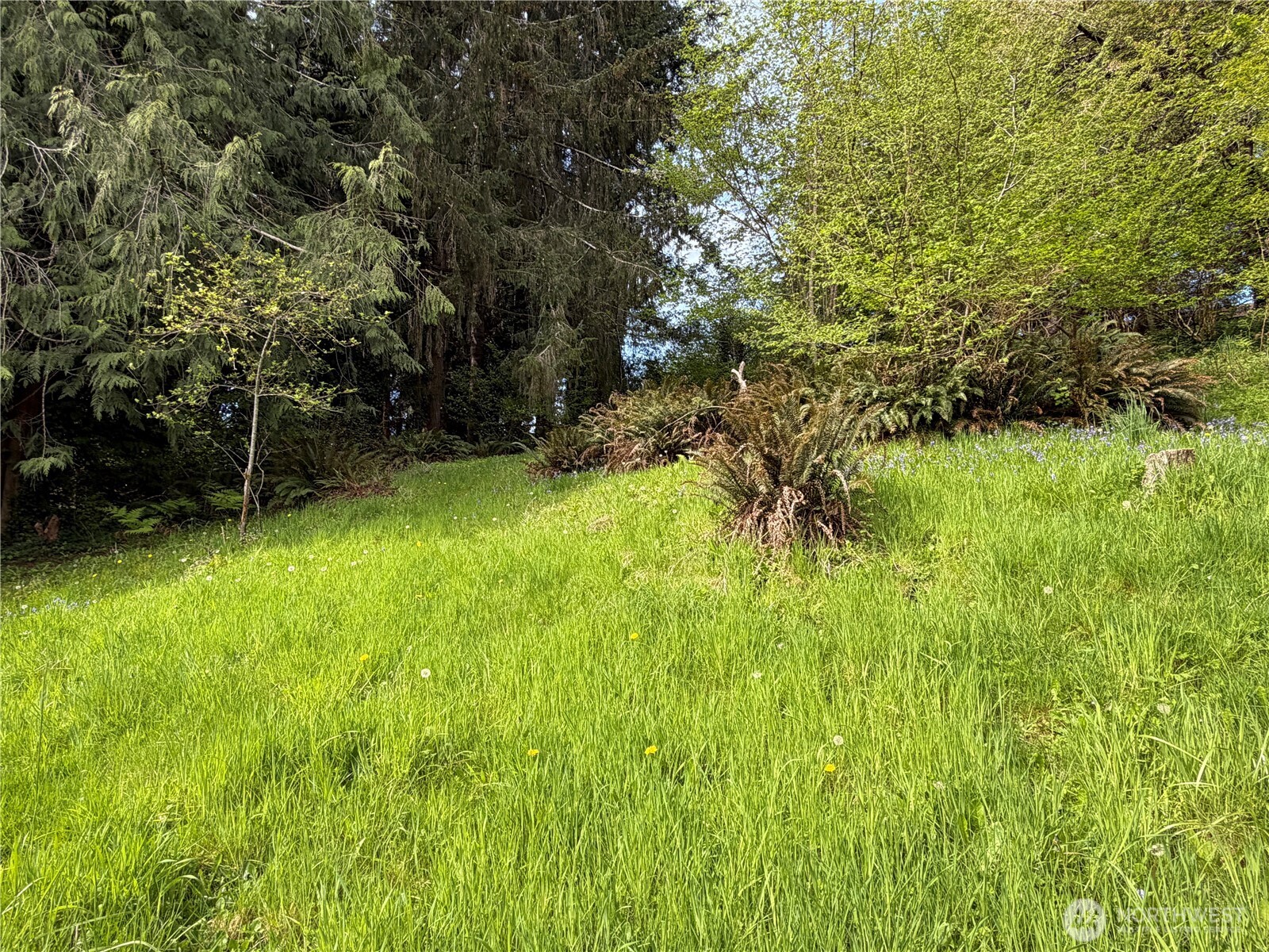 2833 Wishkah Road Property Photo 30