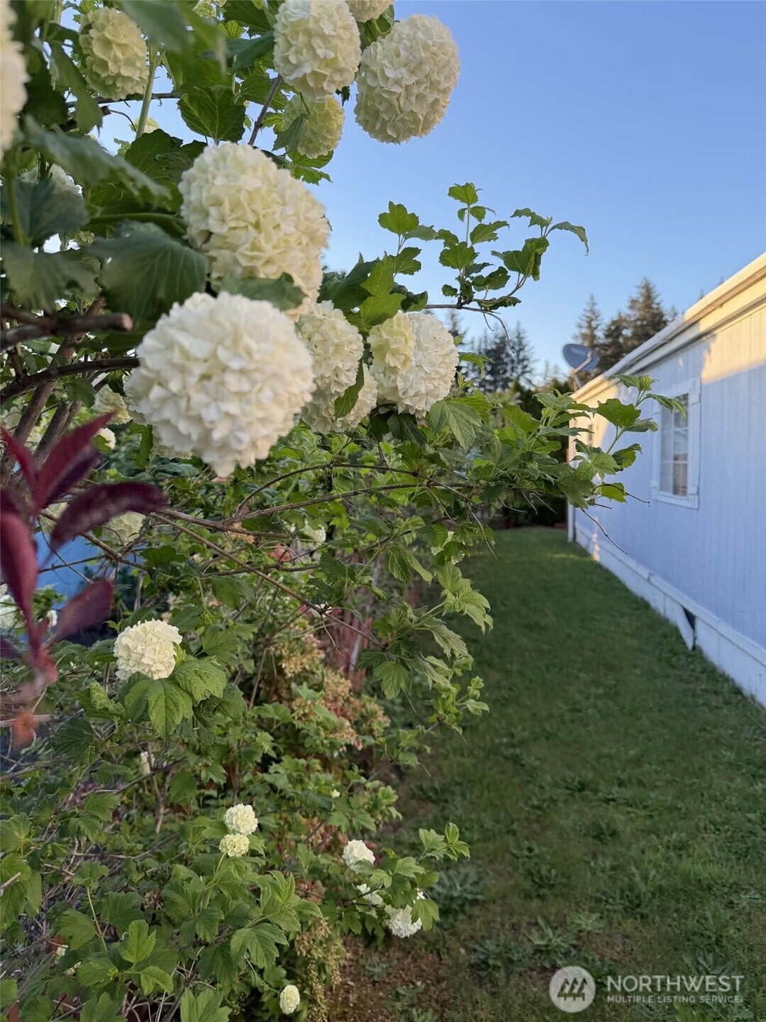 11 Donder Road Property Photo 25