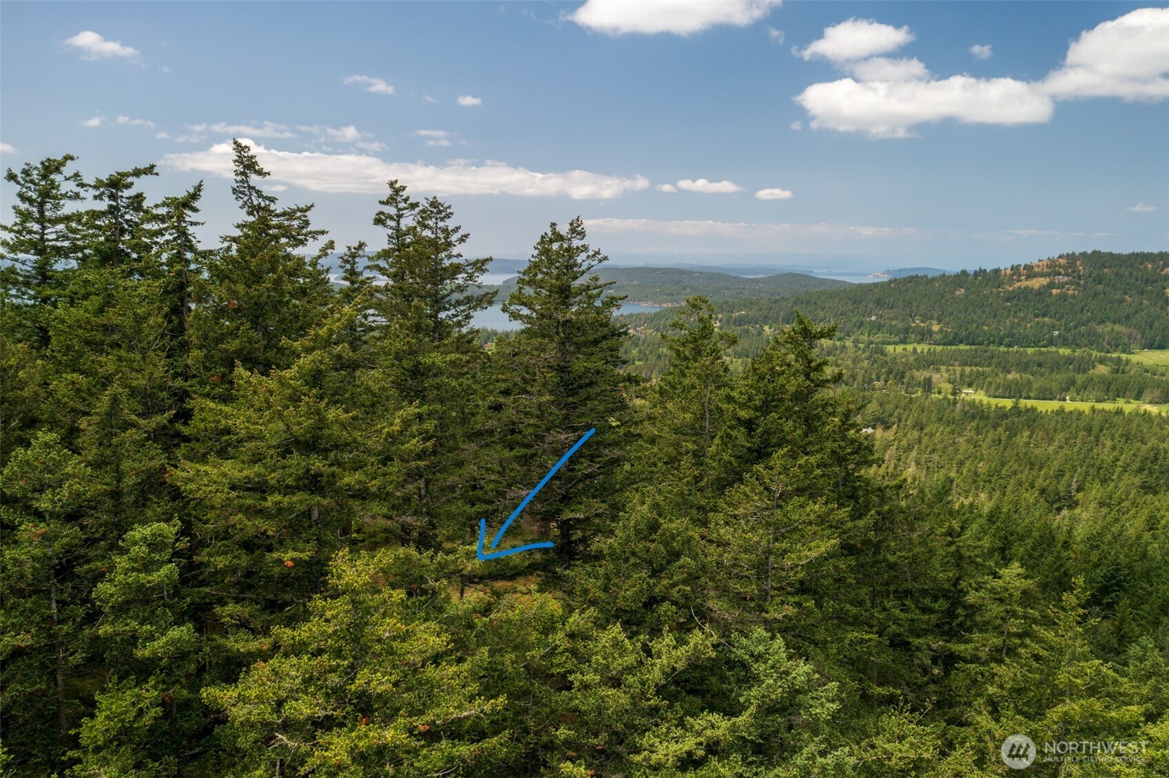 1700 Mountain Crest Property Photo 20