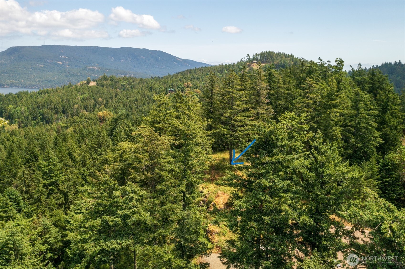 1700 Mountain Crest Property Photo 21