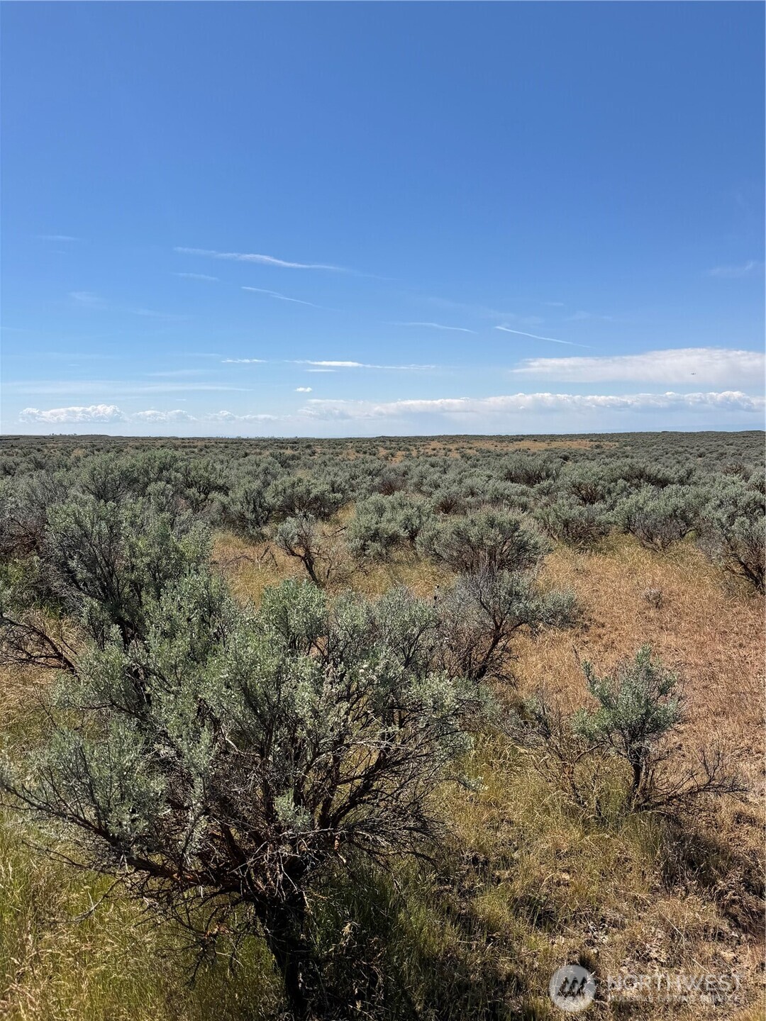 0 Lot 222 Eagle Springs Ranch Property Photo 14