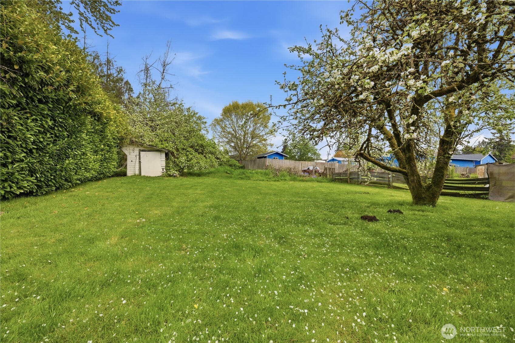 10209 A Street Property Photo 27