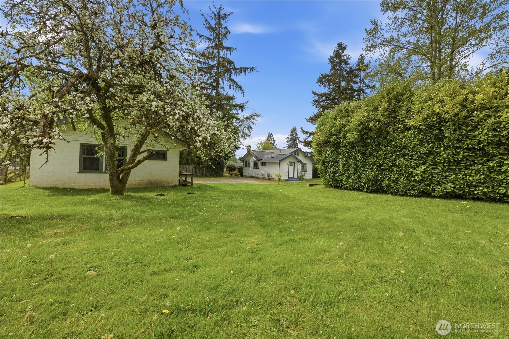 10209 A Street Property Photo 29