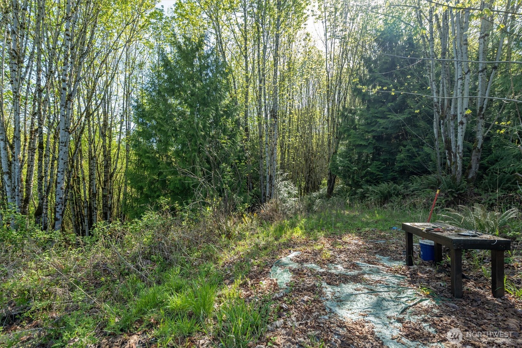0 Nka Tybren Heights Property Photo 6