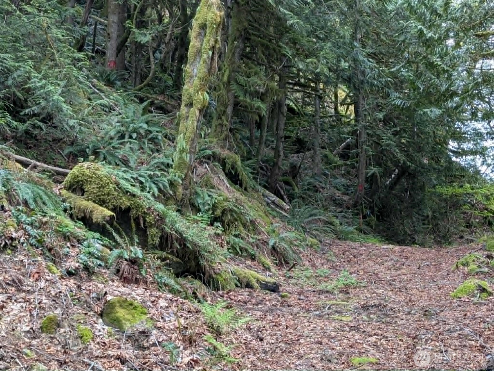 0 Xxxxx Property Photo 3