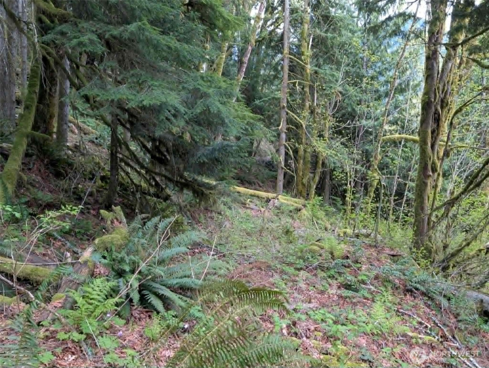 0 Xxxxx Property Photo 7