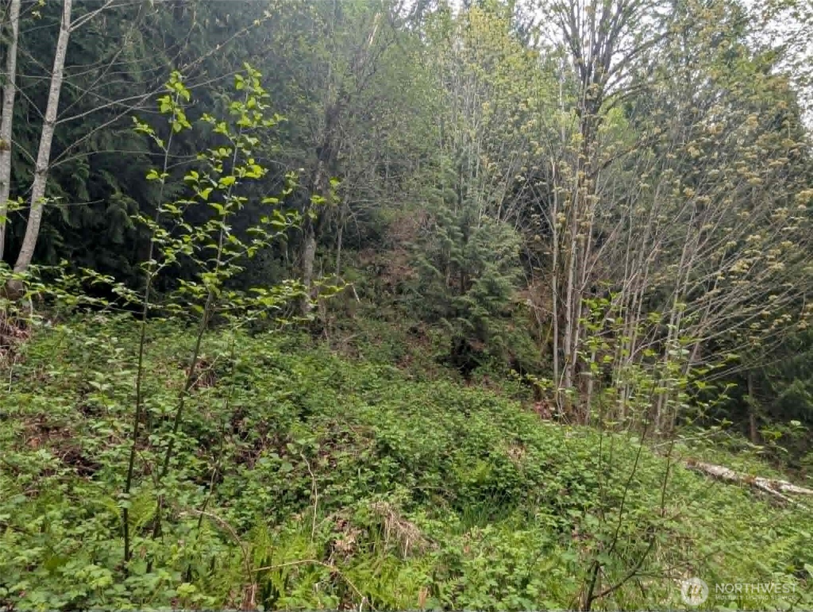 0 Xxxxx Property Photo 8