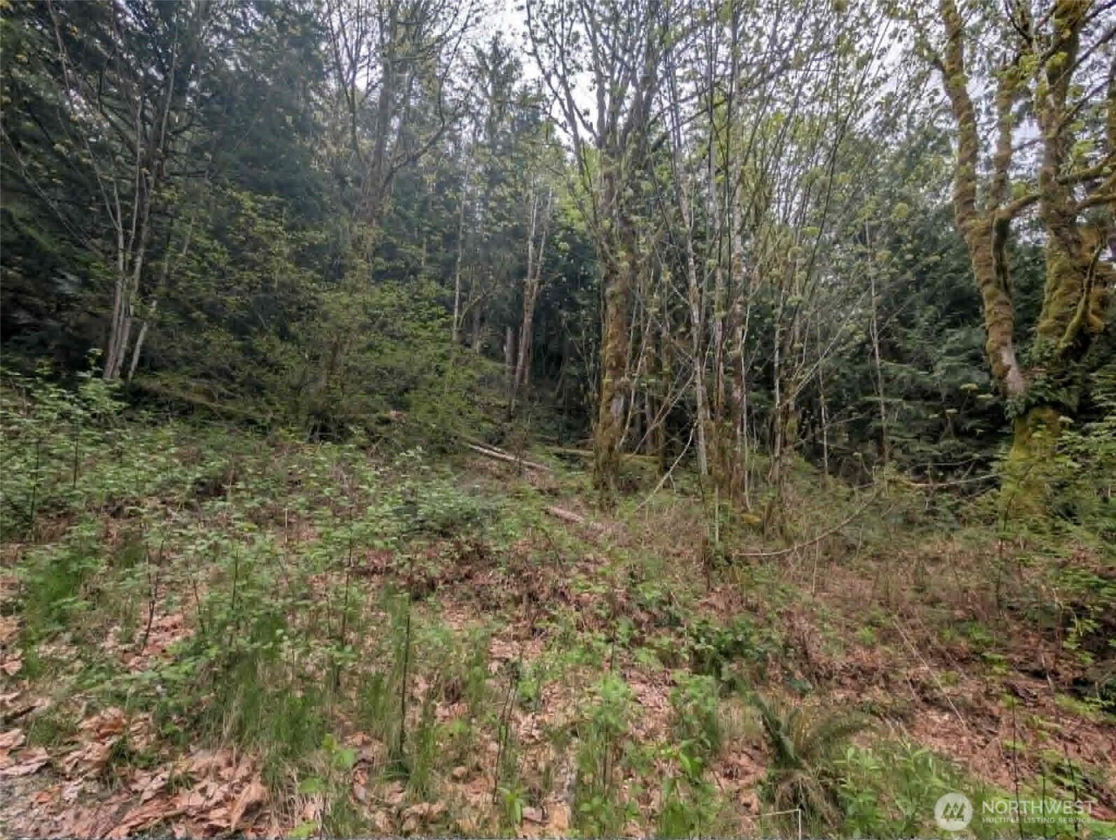 0 Xxxxx Property Photo 10