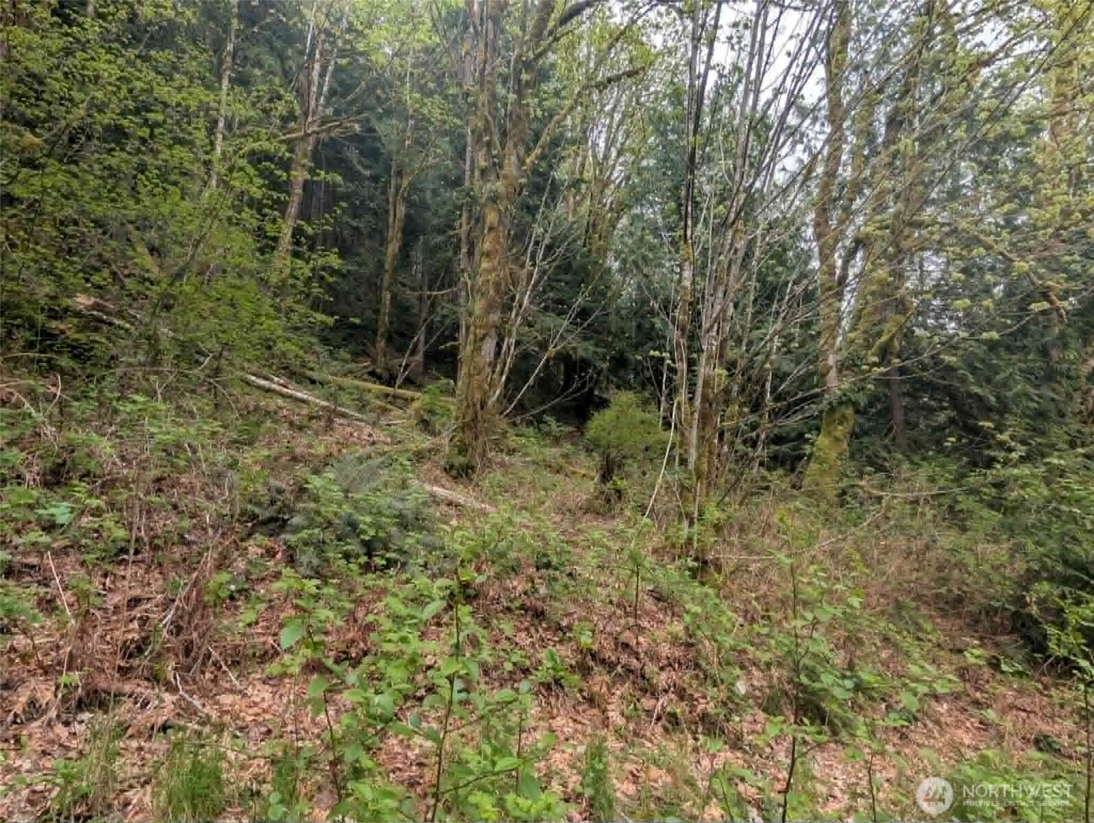 0 Xxxxx Property Photo 12