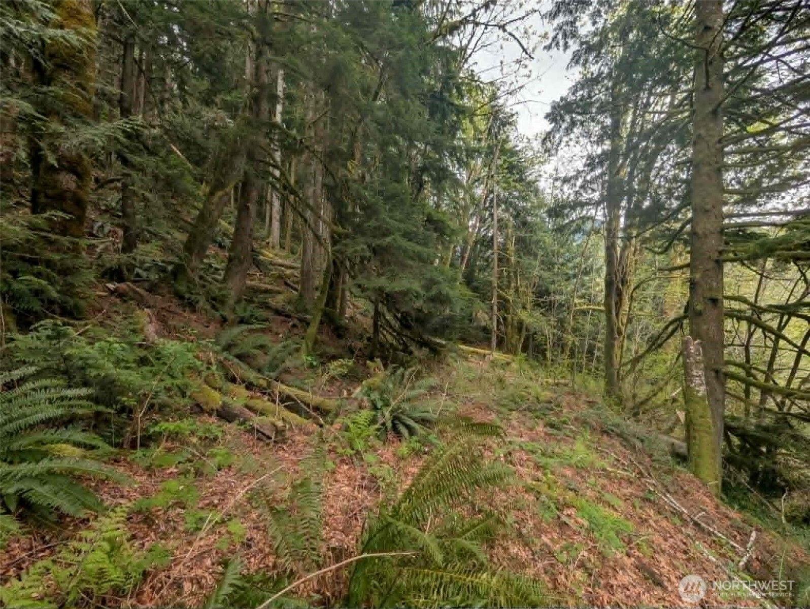 0 Xxxxx Property Photo 13