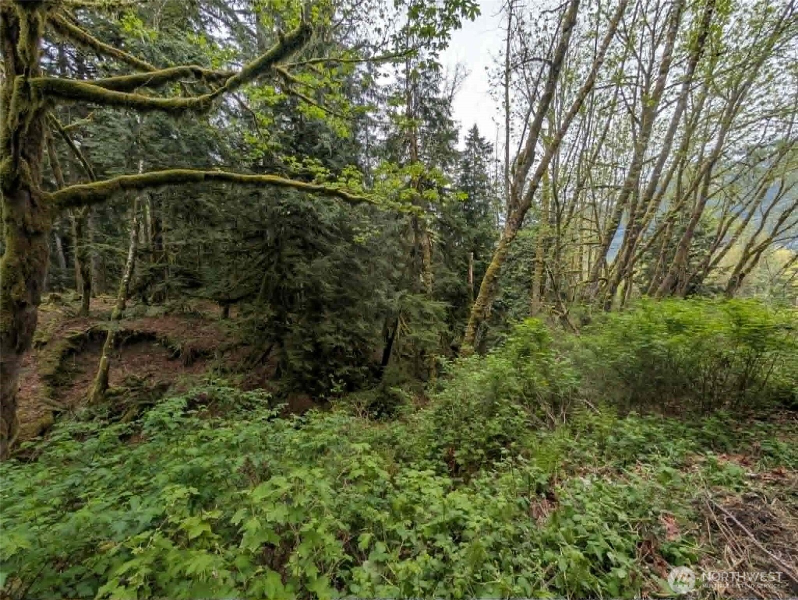 0 Xxxxx Property Photo 15