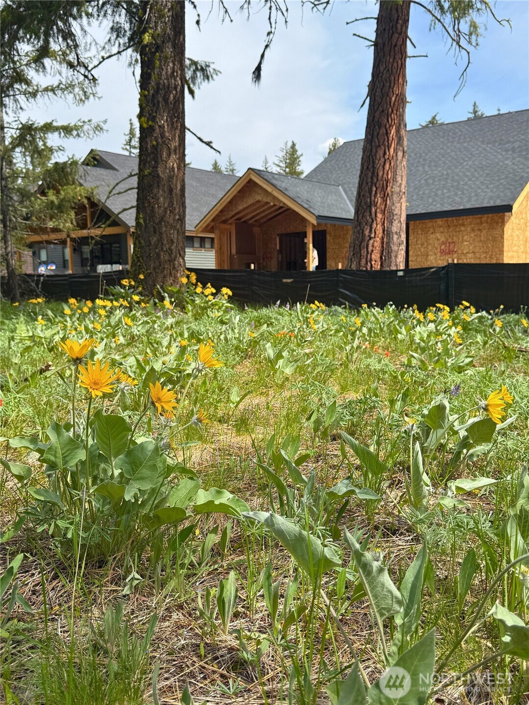 131 Plateau Loop Property Photo 7
