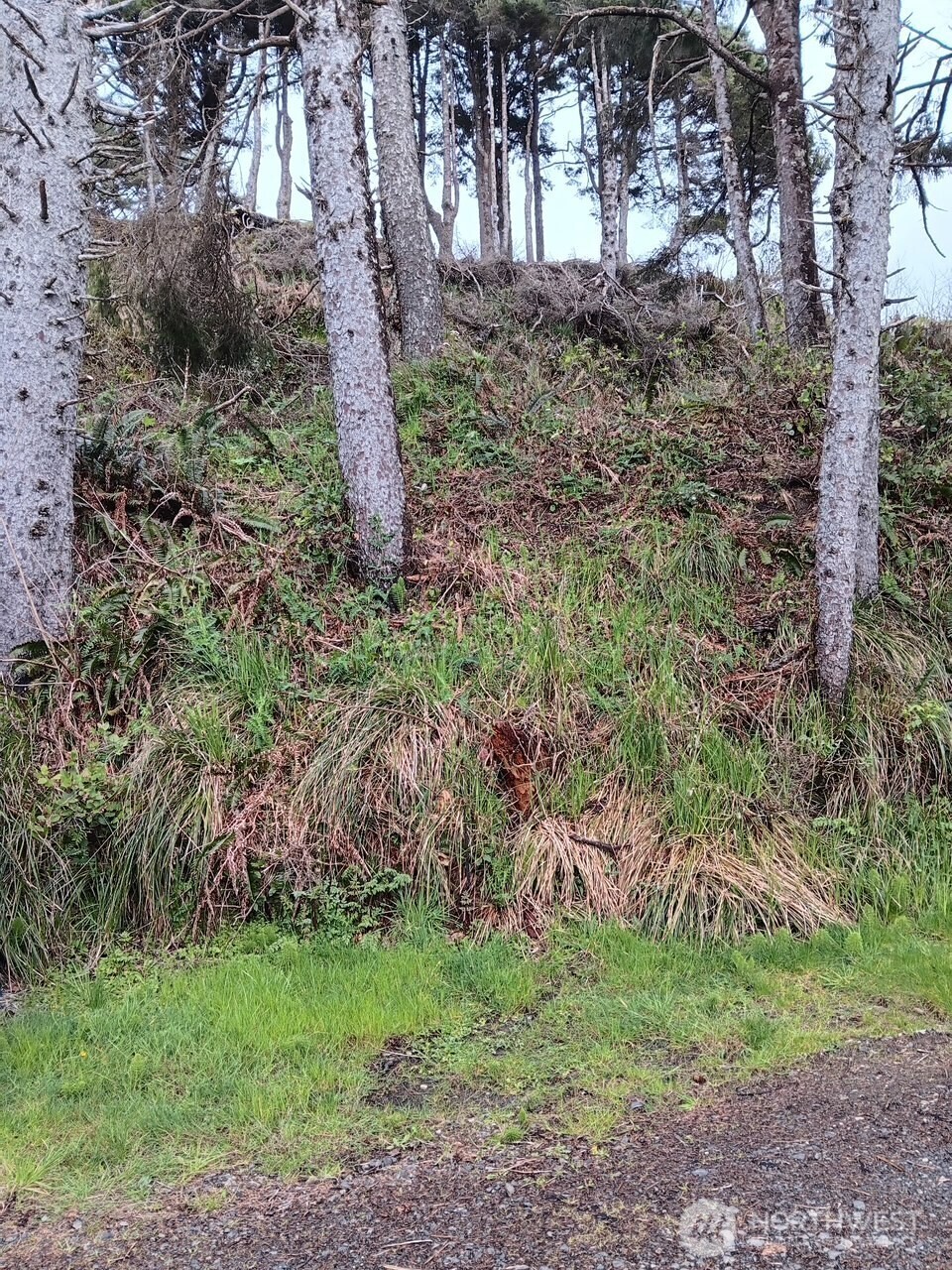 4726 Beach Lane Property Photo 4