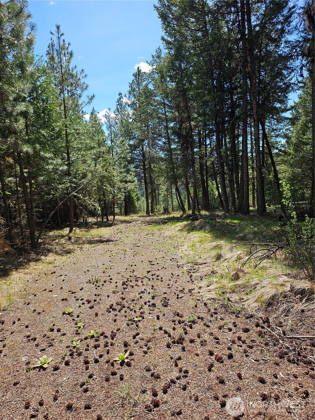 168 Prior Loop Road Property Photo 2