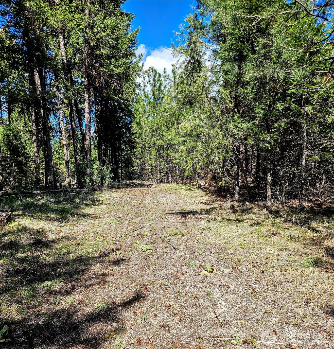 168 Prior Loop Road Property Photo 3