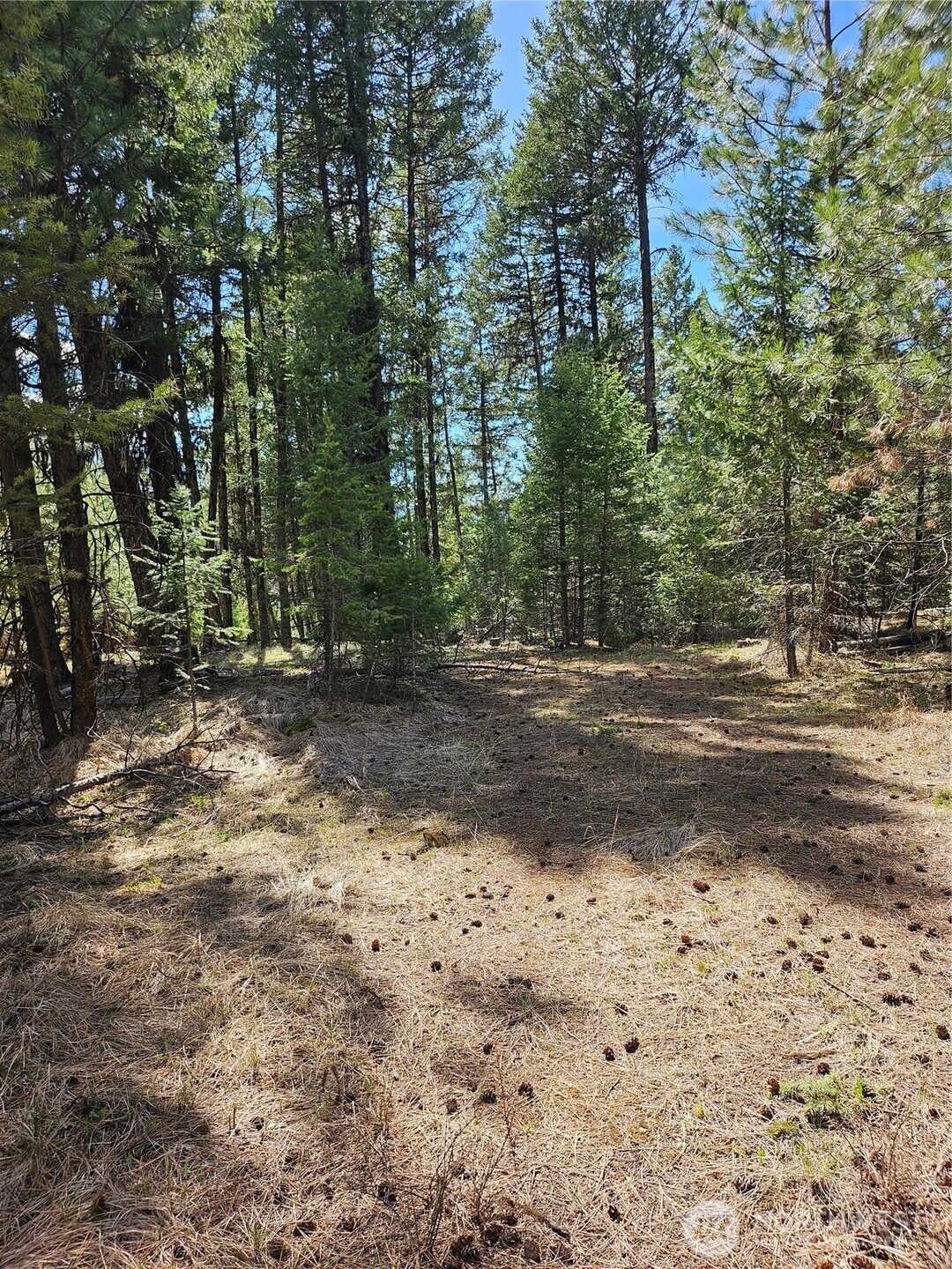 168 Prior Loop Road Property Photo 4