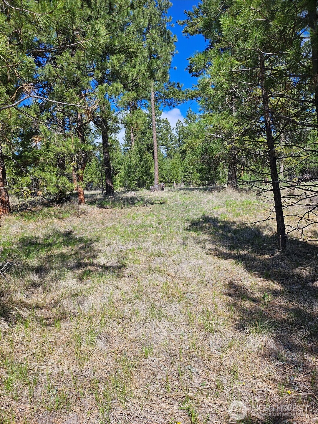 168 Prior Loop Road Property Photo 5