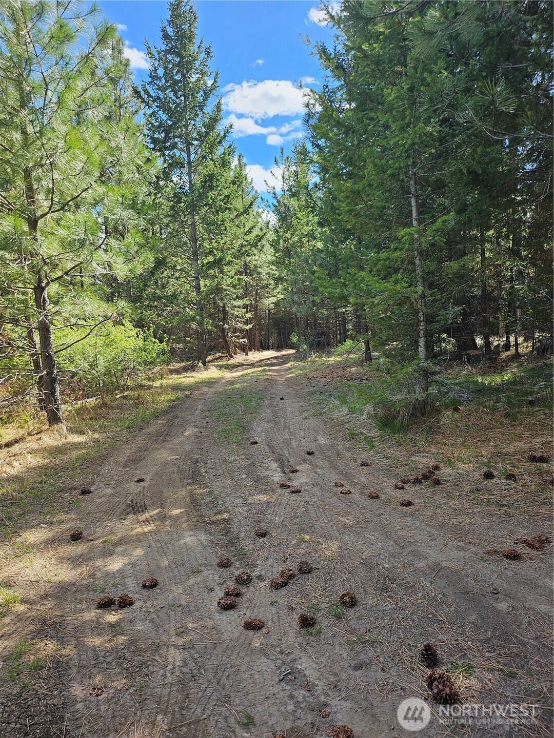 168 Prior Loop Road Property Photo 8