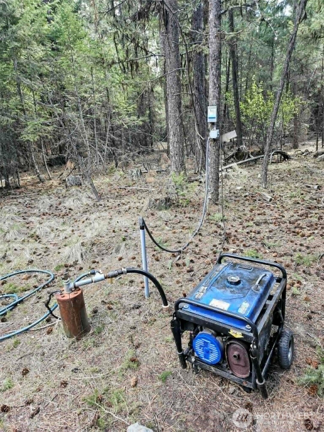 168 Prior Loop Road Property Photo 11