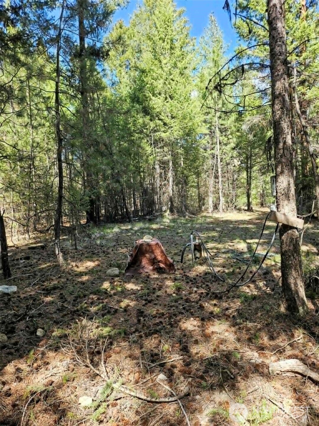 168 Prior Loop Road Property Photo 13