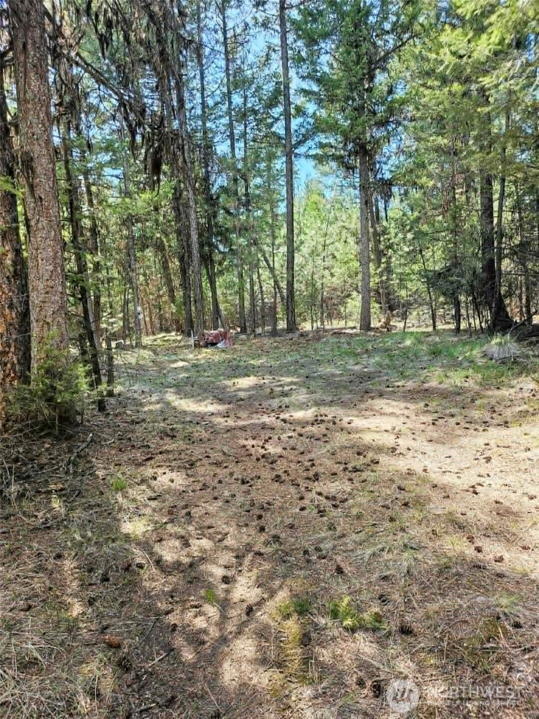 168 Prior Loop Road Property Photo 14