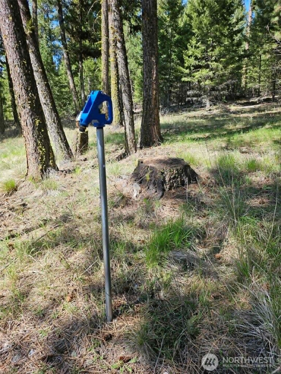 168 Prior Loop Road Property Photo 15