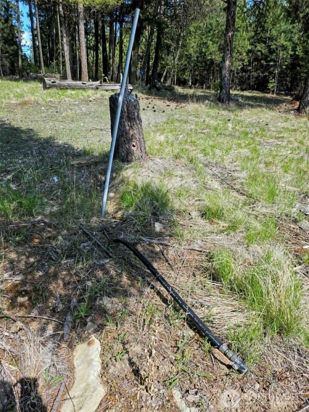 168 Prior Loop Road Property Photo 16