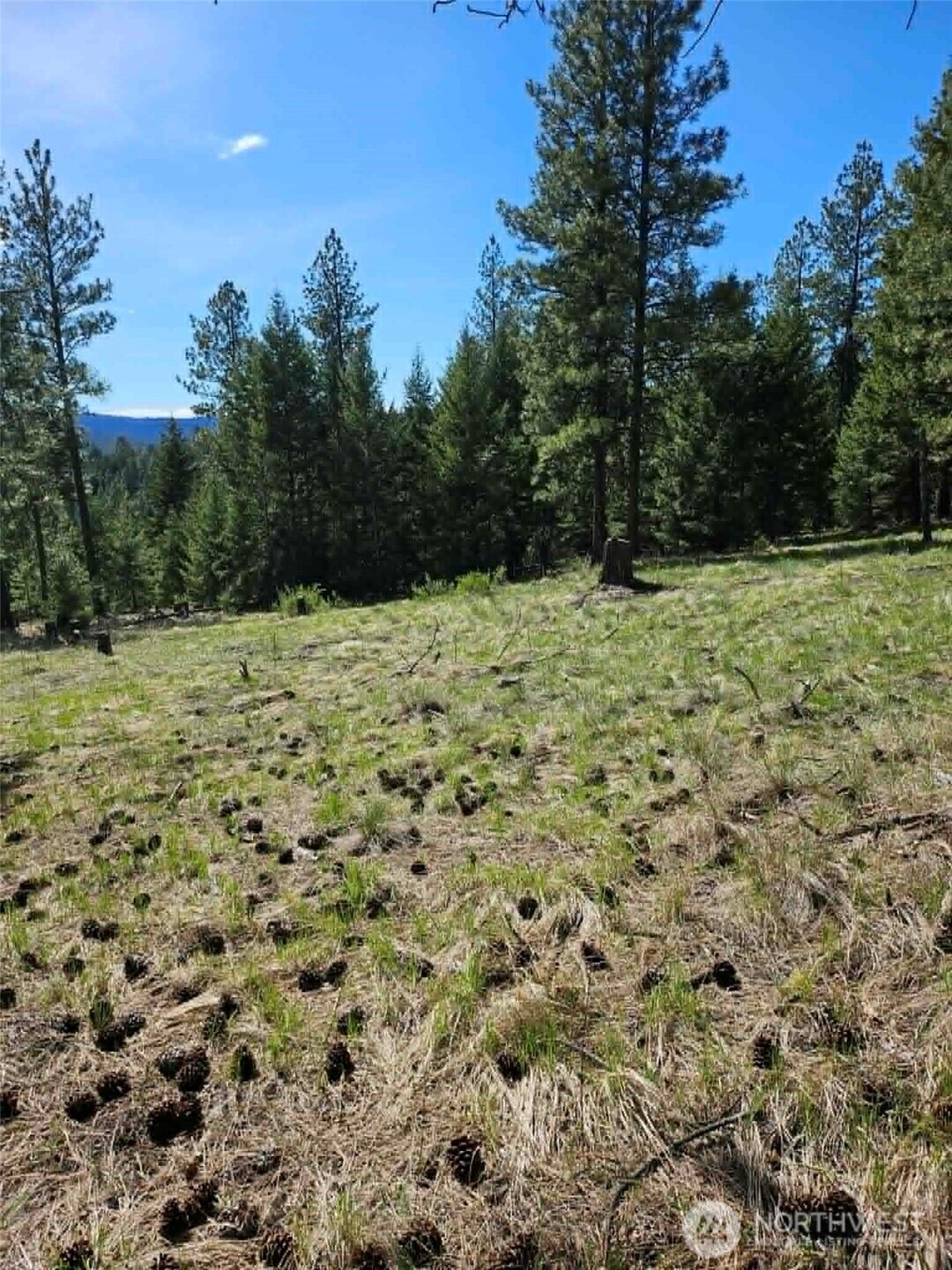 168 Prior Loop Road Property Photo 18