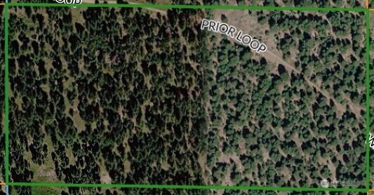 168 Prior Loop Road Property Photo 19
