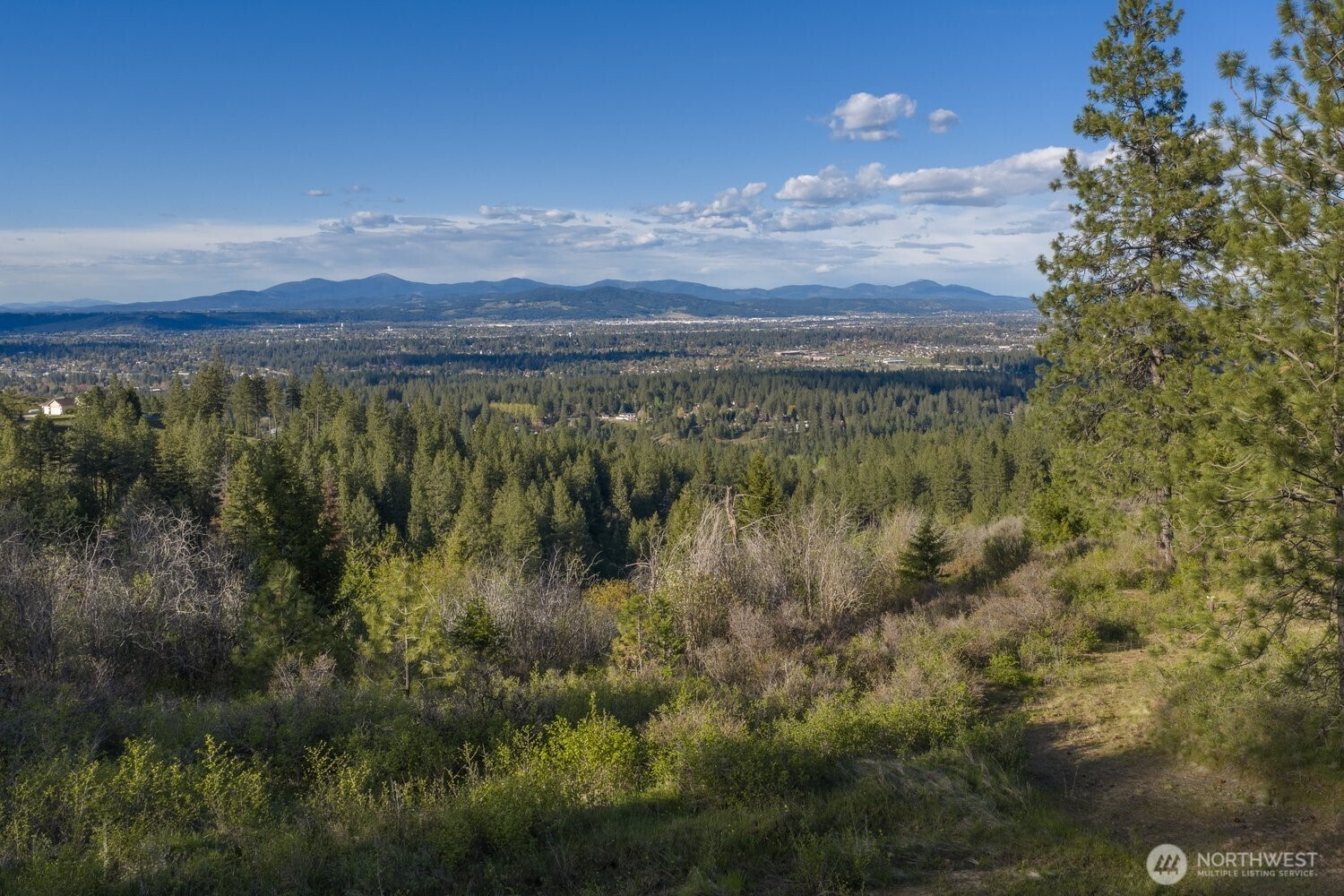 10610 E Hallett Property Photo 8