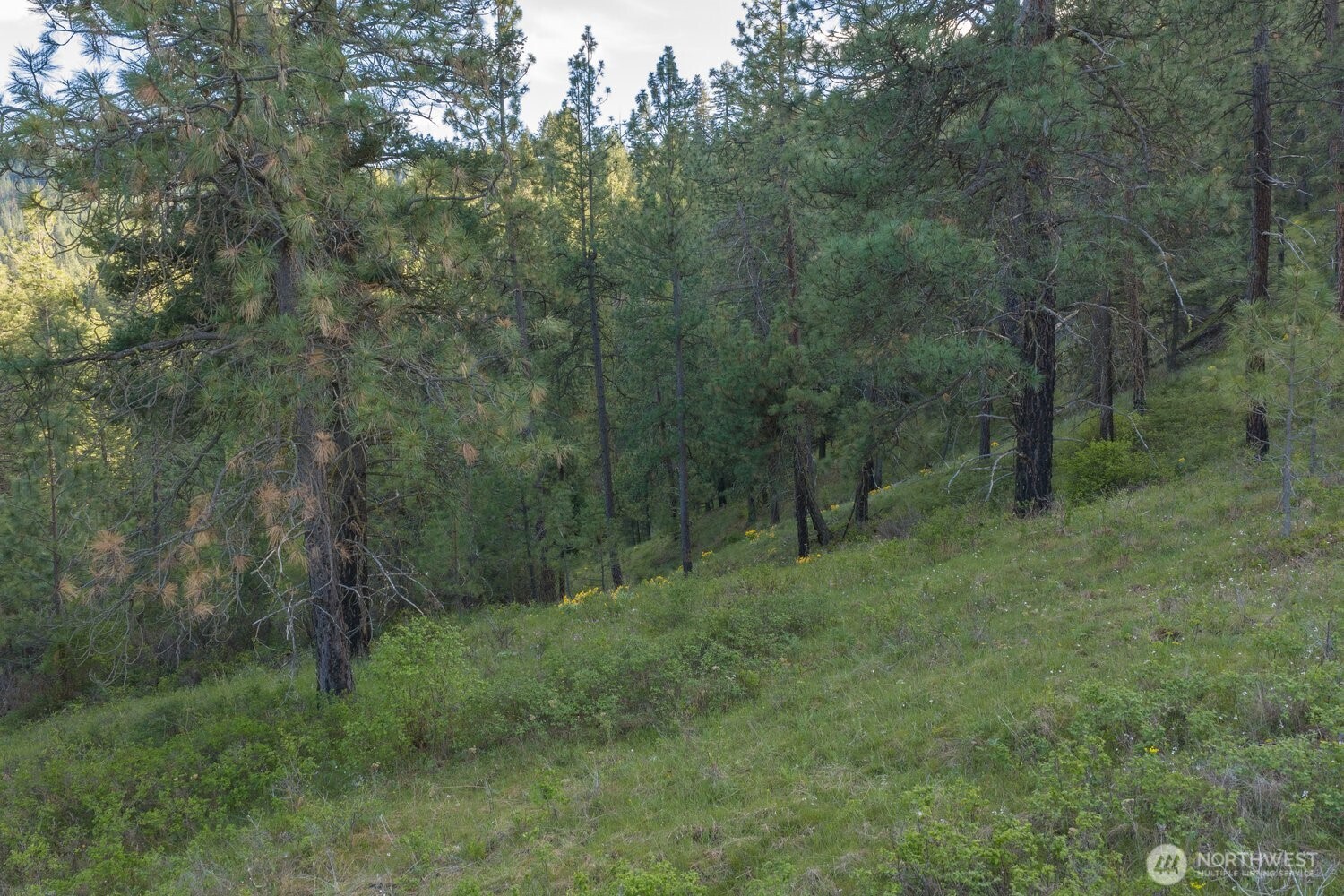 10610 E Hallett Property Photo 9