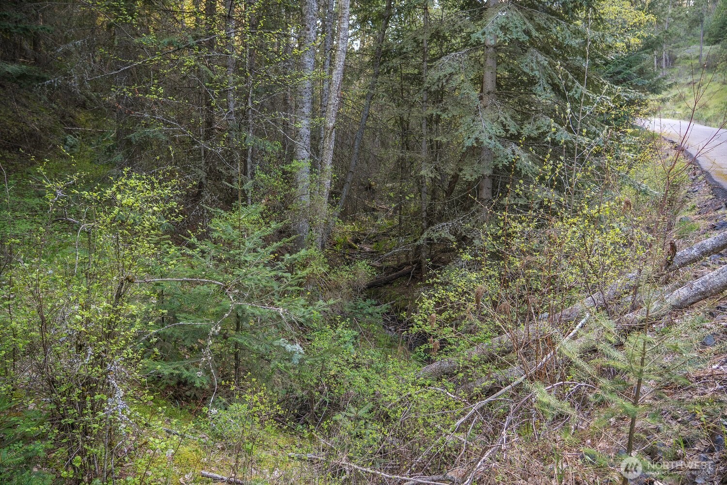 10610 E Hallett Property Photo 17