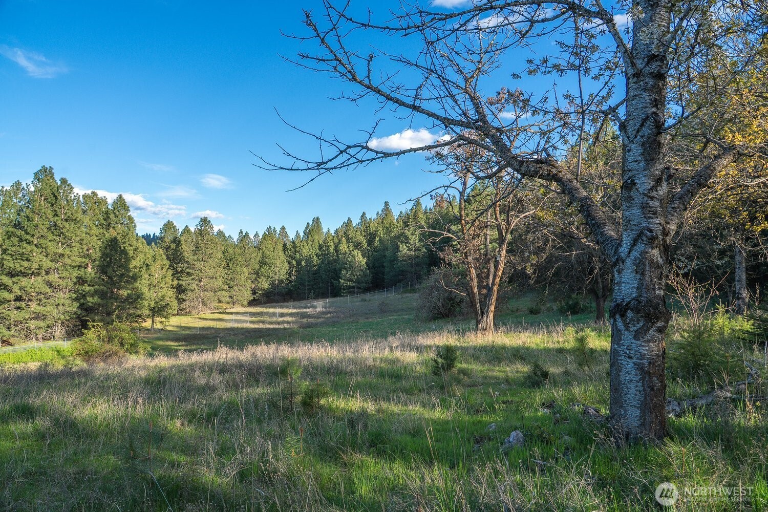 10610 E Hallett Property Photo 18