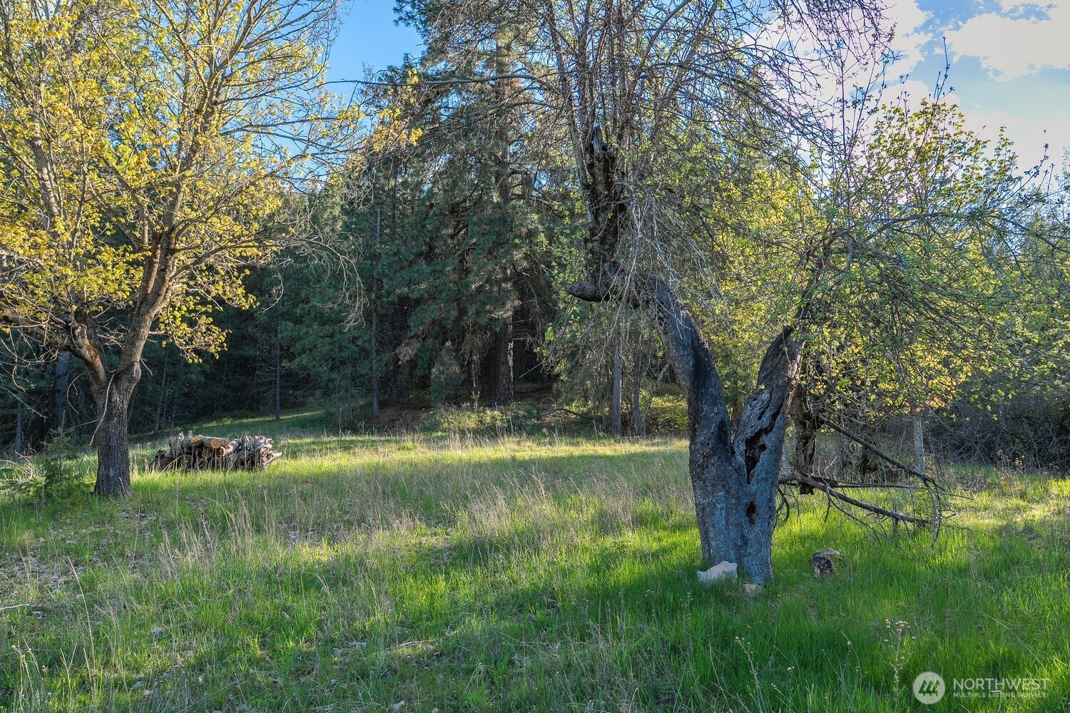 10610 E Hallett Property Photo 19