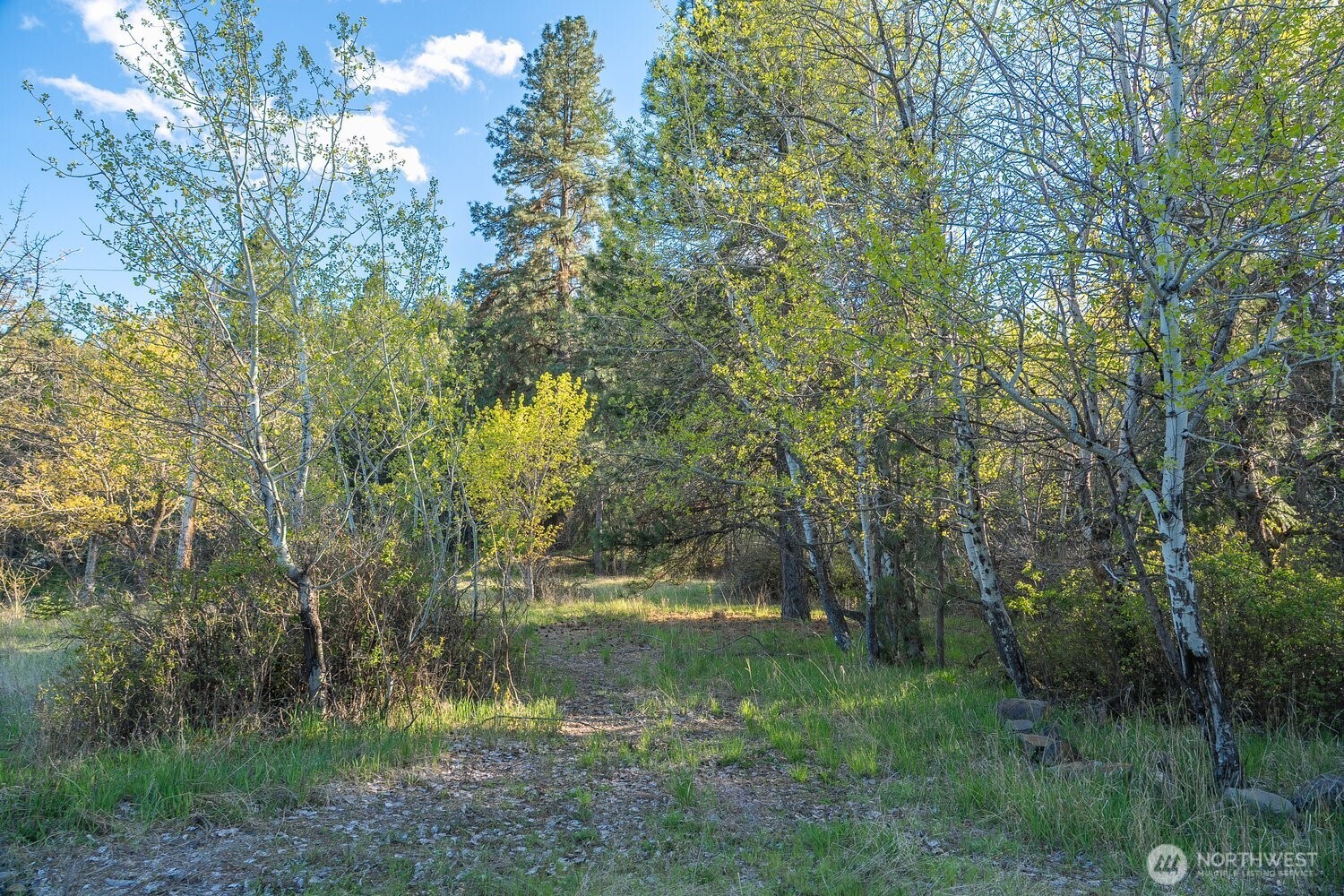 10610 E Hallett Property Photo 21