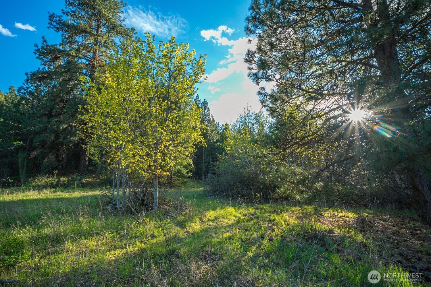 10610 E Hallett Property Photo 23