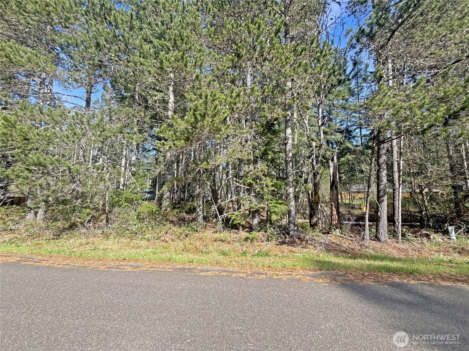 41 N Varden Way Property Photo 4