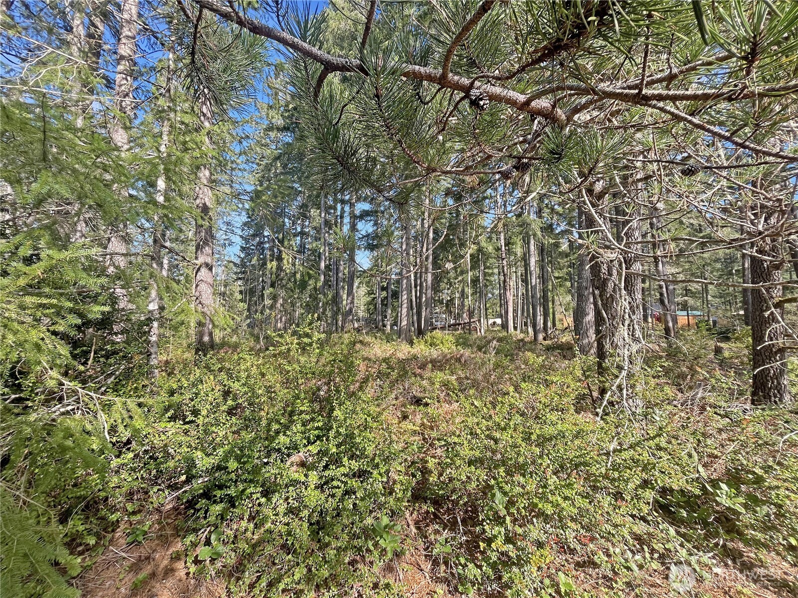41 N Varden Way Property Photo 6